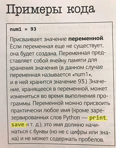 print и save в python