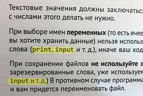 print и input в python
